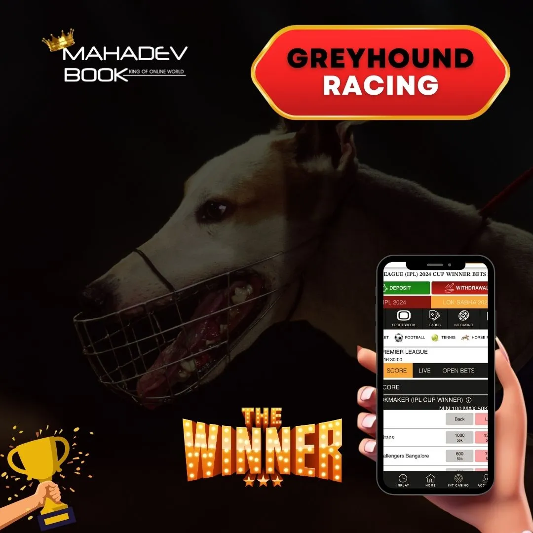 greyhound racing mahadev app